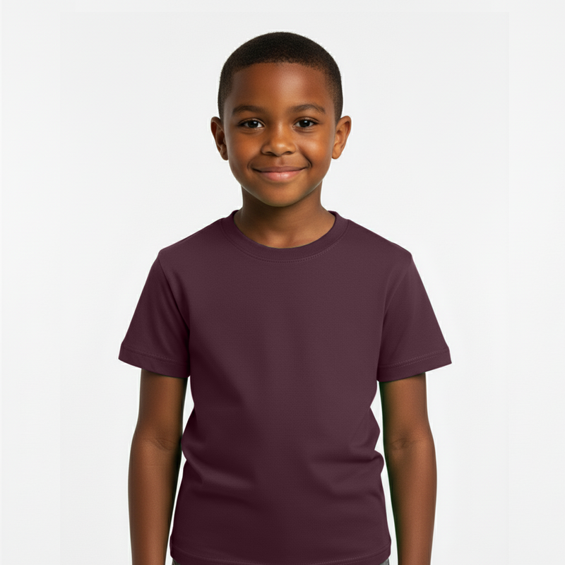 Camiseta Yaslu Lisa Premium Marrom Ebony